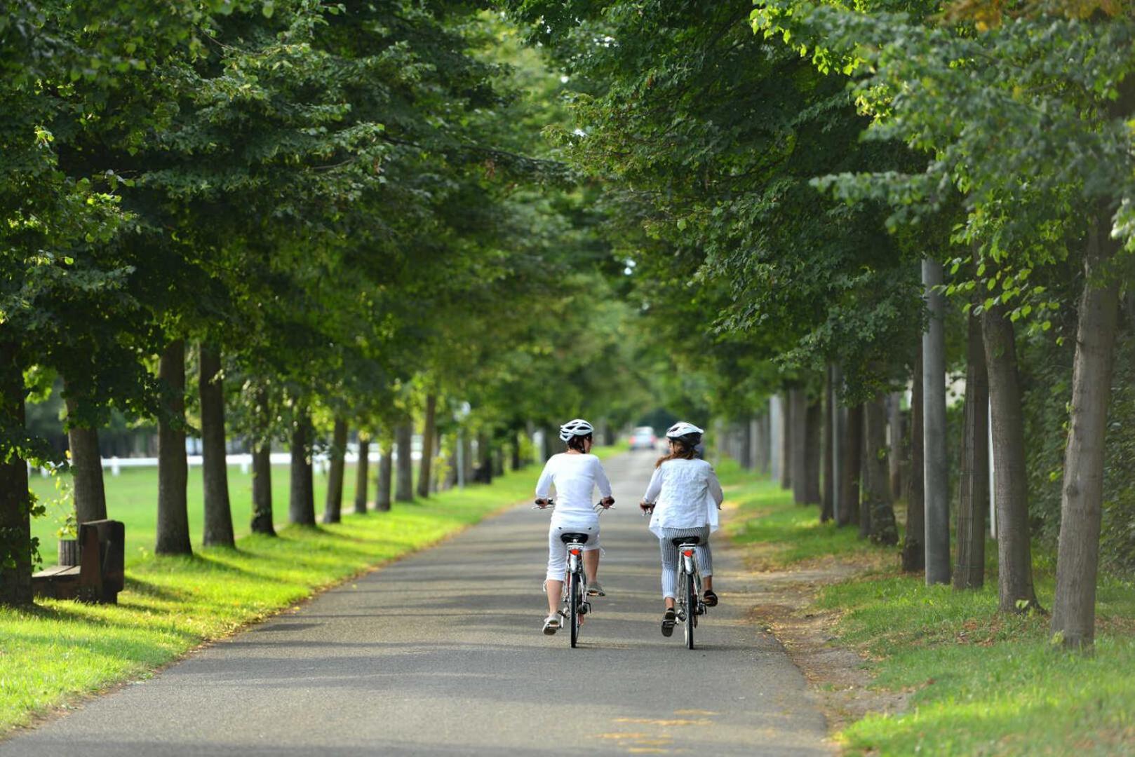 Havre De Tranquillite A Maisons-Laffitte 아파트 외부 사진